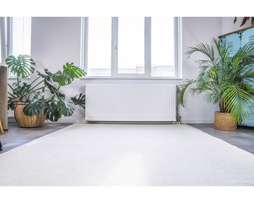 Cameră luminoasă cu plante de interior, calorifer și un covor