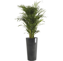 Ghiveci Ecopots Amsterdam plastic Ø 34 cm H 66 cm gri închis