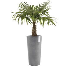 Ghiveci Ecopots Amsterdam plastic Ø 34 cm H 66 cm gri