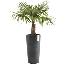 Ghiveci Ecopots Amsterdam plastic Ø 41 cm H 76 cm gri închis