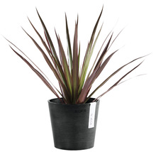 Ghiveci Ecopots Amsterdam Mini plastic Ø 13 cm H 11,4 cm gri închis