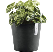 Ghiveci Ecopots Amsterdam Mini plastic Ø 17 cm H 14,9 cm gri închis