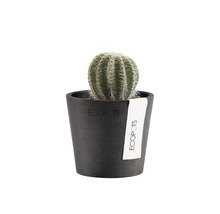 Ghiveci Ecopots Amsterdam Mini plastic Ø 8 cm H 7 cm gri închis
