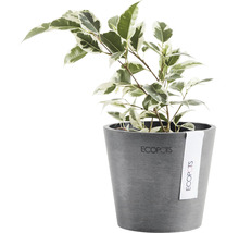 Ghiveci Ecopots Amsterdam Mini plastic Ø 10,5 cm H 9,2 cm gri