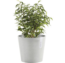 Ghiveci Ecopots Amsterdam Mini plastic Ø 17 cm H 14,9 cm alb-gri