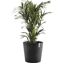 Ghiveci Ecopots Amsterdam cu sistem de irigare plastic Ø 50 cm H 43,8 cm gri închis