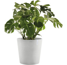 Ghiveci Ecopots Amsterdam cu sistem de irigare plastic Ø 50 cm H 43,8 cm alb-gri