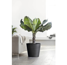 Ghiveci Ecopots Amsterdam cu sistem de irigare plastic Ø 40 cm H 35 cm gri închis