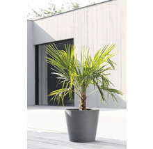 Ghiveci Ecopots Amsterdam cu sistem de irigare plastic Ø 40 cm H 35 cm gri