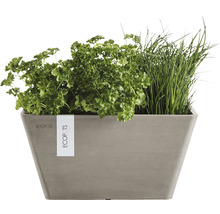 Ghiveci Ecopots Berlin plastic 25x25x12,8 cm maro-gri