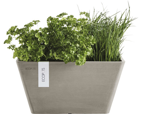 Jardiniere dreptunghiulară cu ierburi aromatice