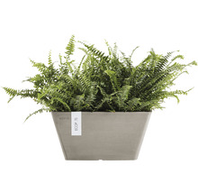 Ghiveci Ecopots Berlin plastic 41x41x18 cm maro-gri