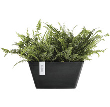 Ghiveci Ecopots Berlin plastic 25x25x12,8 cm gri închis