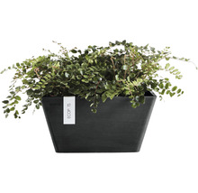 Ghiveci Ecopots Berlin plastic 31x31x15,5 cm gri închis