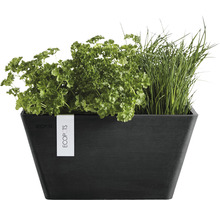 Ghiveci Ecopots Berlin plastic 41x41x18 cm gri închis