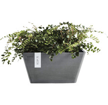 Ghiveci Ecopots Berlin plastic 25x25x12,8 cm gri