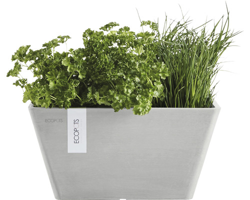 Jardinieră Ecopots cu ierburi