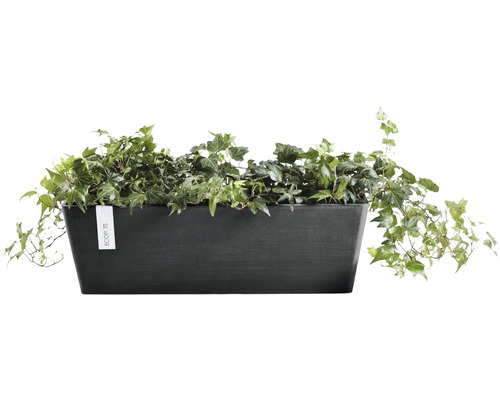 Jardinieră rectangulară cu iederă