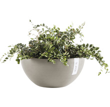 Ghiveci Ecopots Brussels plastic Ø 35 cm H 16,5 cm maro-gri