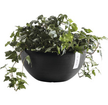Ghiveci Ecopots Brussels plastic Ø 35 cm H 16,5 cm gri închis