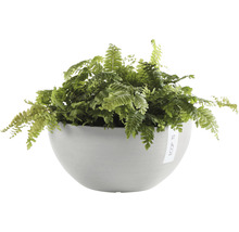 Ghiveci Ecopots Brussels plastic Ø 25 cm H 12 cm alb-gri