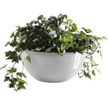 Ghiveci Ecopots Brussels plastic Ø 30 cm H 14 cm alb-gri