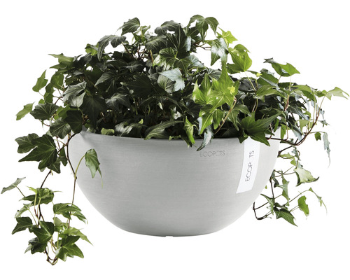 Coș suspendat Ecopots cu iederă