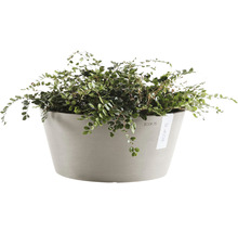 Ghiveci Ecopots Frankfurt plastic Ø 41 cm H 18 cm maro-gri