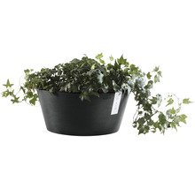 Ghiveci Ecopots Frankfurt plastic Ø 50 cm H 25 cm gri închis