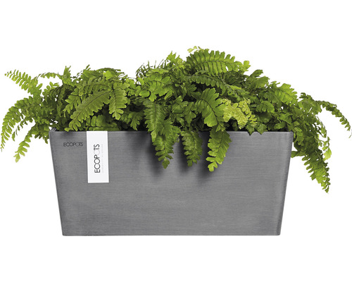 Fine Herb 20個 ghiveci-inteligent-h20xd22-cm-