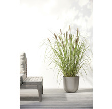 Ghiveci Ecopots Oslo plastic Ø 25 cm H 21,8 cm maro-gri