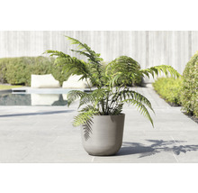 Ghiveci Ecopots Oslo plastic Ø 35 cm H 30,5 cm maro-gri