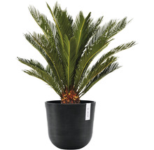 Ghiveci Ecopots Oslo plastic Ø 25 cm H 21,8 cm gri închis