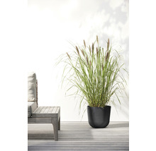 Ghiveci Ecopots Oslo plastic Ø 25 cm H 21,8 cm gri închis