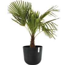 Ghiveci Ecopots Oslo plastic Ø 35 cm H 30,5 cm gri închis