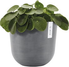 Ghiveci Ecopots Oslo plastic Ø 25 cm H 21,8 cm gri