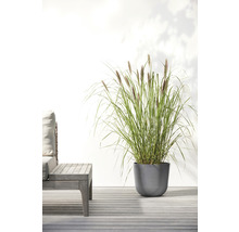 Ghiveci Ecopots Oslo plastic Ø 25 cm H 21,8 cm gri