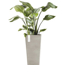 Ghiveci Ecopots Rotterdam plastic 31x31x56 cm nisipiu