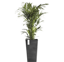Ghiveci Ecopots Rotterdam plastic 31x31x56 cm gri închis