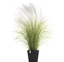Ghiveci Ecopots Rotterdam cu sistem de irigare plastic 35,2x35,2x34 cm gri închis