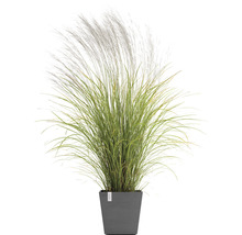 Ghiveci Ecopots Rotterdam cu sistem de irigare plastic 35,2x35,2x34 cm gri