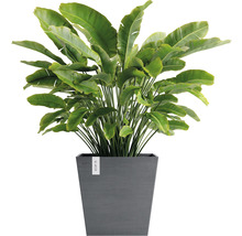 Ghiveci Ecopots Rotterdam cu sistem de irigare plastic 45,4x45,4x44 cm gri