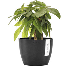 Ghiveci Ecopots Stockholm plastic Ø 16 cm H 12,5 cm gri închis