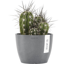 Ghiveci Ecopots Stockholm plastic Ø 16 cm H 12,5 cm gri
