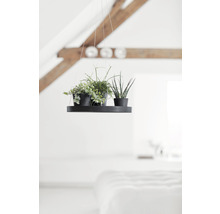 Farfurie Ecopots cu agățătoare plastic Ø 36 cm H 3 cm gri închis