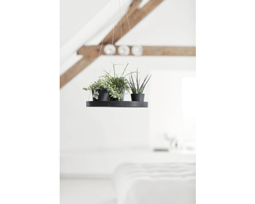 Jardinieră suspendată cu două plante în ghivece