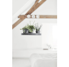 Farfurie Ecopots cu agățătoare plastic Ø 36 cm H 3 cm gri