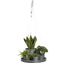 Farfurie Ecopots cu agățătoare plastic Ø 36 cm H 3 cm gri