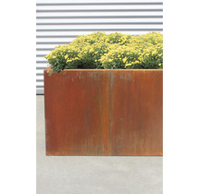 Jardinieră metalică cu flori galbene