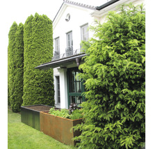 Fotografie exterioară a unei case cu jardiniere și conifere